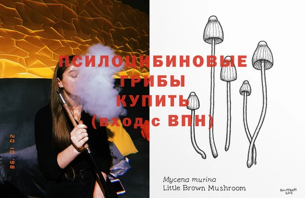 a pvp Корсаков